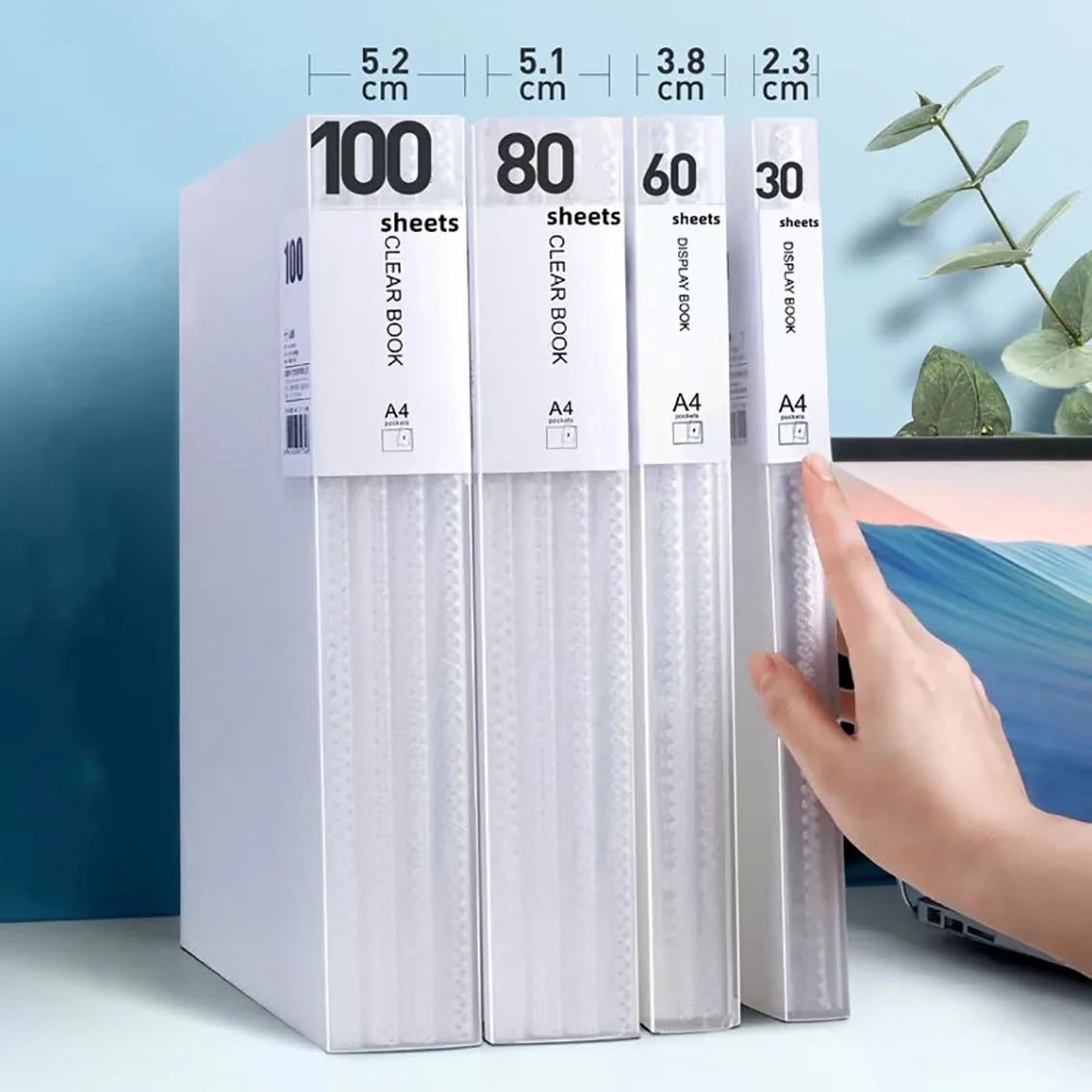 60Page A4 Storage Folder - Durable & Fashionable with Clear View Panels - Morandi Color Collection - Organized Space-Saving